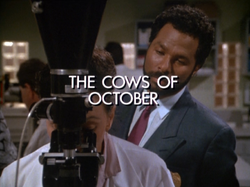 Thecowsofoctobertitle