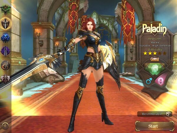 2-paladin.jpg