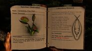 Research Notes on the Carnivorous Trap Plant