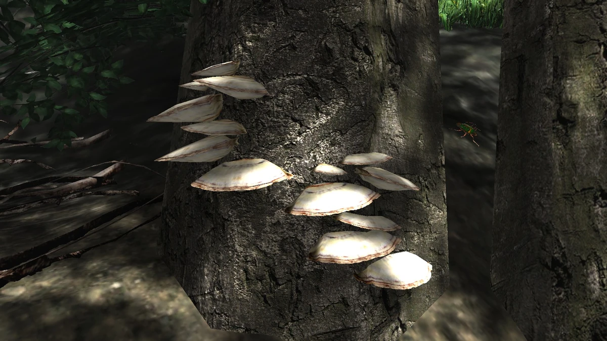 Brown Shelf Fungus Miasmata Wiki Fandom