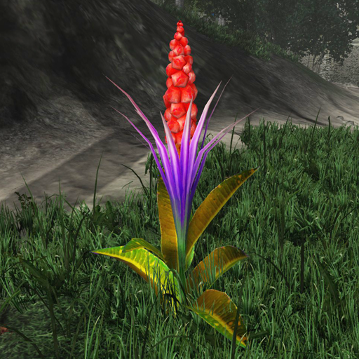 Fabaceae in the wild.png