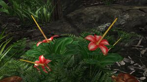Large jungle flower.jpg