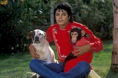 Mjhayvenhurst 4.png (577 KB) Michael Jackson at Hayvenhurst (1983)