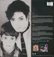 Vinyl back cover[2]