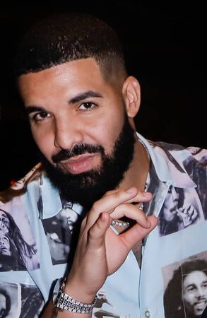 DRAKE'S 新品未使用　MICHAEL J. DRAKE Did Drake Buy Michael Jackson's Crystal-Studded White Glove?