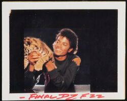 1982 Dick Zimmerman Photoshoot | Michael Jackson Wiki | Fandom 1982 Dick Zimmerman Photoshoot | Michael Jackson Wiki | Fandom