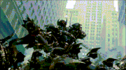 Shockwave arrives in Chicago 1