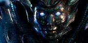 TLK Quintessa face