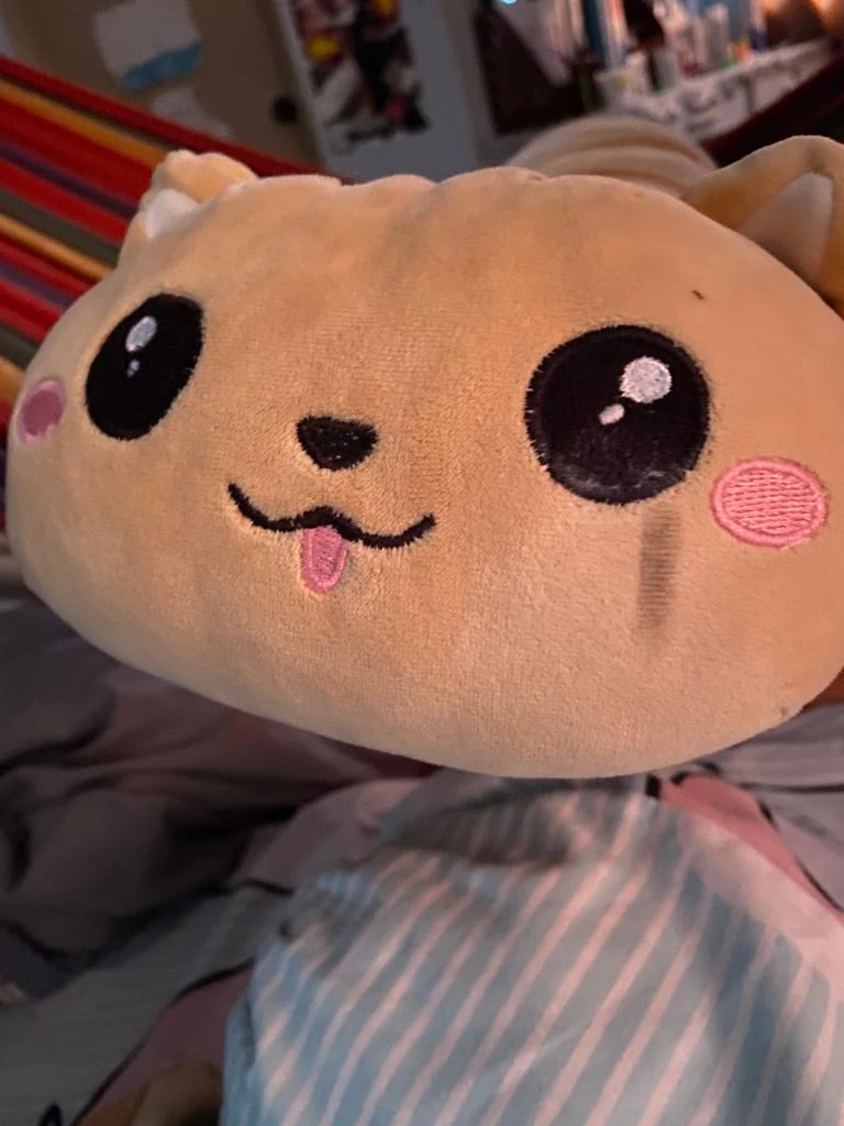 Bread Cat Michelle and Xiaoyaya Wiki Fandom