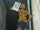 Michikotohatchin1.jpg