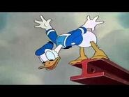 Donald acrophobic