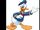 Donald Duck