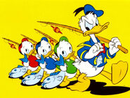 Donald-Duck-donald-duck-34406865-1024-768