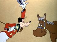 Goofy approaching horse with confidence