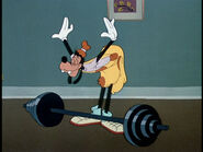 Goofy-gym