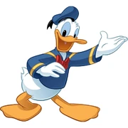 Donald duck 