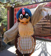 Clara Cluck DLP