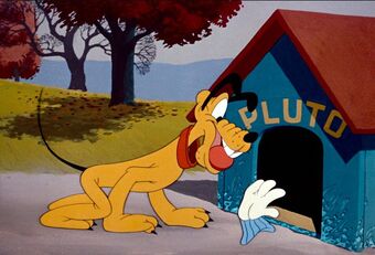 Pluto S Doghouse Mickey And Friends Wiki Fandom Pluto realizes that his doghouse is moving around without. doghouse mickey and friends wiki fandom