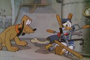 Donald-Duck-Donald-and-Pluto-donald-duck-9562427-500-333