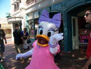 5-133DaisyDuck24-23-10