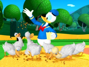 massa Gastheer van bevolking Donald's Ducks | MickeyMouseClubhouse Wiki | Fandom