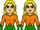 Aquaman (Arthur Curry) (Harley Quinn TV Series)