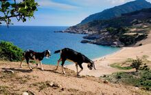 Thochu-island-3.jpg