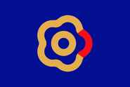 Alt-flag of Eastasia V1