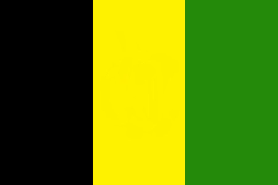 Флаг зеленый желтый зеленый вертикально. Флаг зеленый черный желтый. Желто зеленый флаг. Черно желто зеленый флаг. Черный желтый зеленый.
