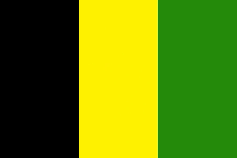 флаг зеленый черный желтый. чей флаг зеленый желтый красный. желто зеленый флаг. краснозерский район новосибирской области флаг. флаг зеленый желтый красный.