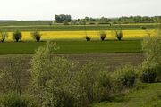 Northern Fenmark countryside