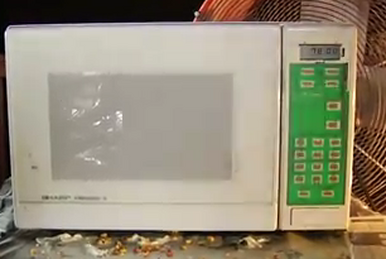 Microwave models Is It A Good Idea To Microwave This Wiki Fandom