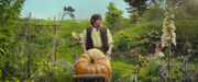 Hobbits - AUJ