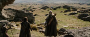 Rohan plains