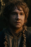 Bilbo erebor