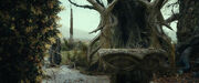 Mirkwood entrance