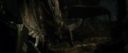 Smaug looks for invisible Bilbo
