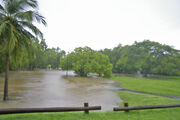 Flood