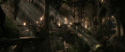 Woodland Realm