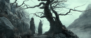 Wizards at High Fells