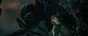 Shelob - FOTR