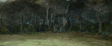 Mirkwood front view