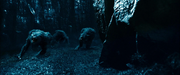 Werewolves
