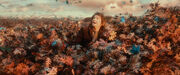 Bilbo in Mirkwood canopy