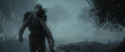 Bolg at riverbank