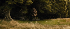 Chasing thorincompany