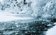 Frozen Brandywine