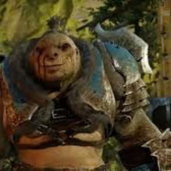 Brûz