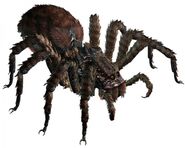 Giant Spider (1)