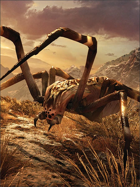 Creatures-spider-a28c62cb90